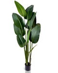 IvoQ Strelitzia Kunstplant 180 cm-IvoQ