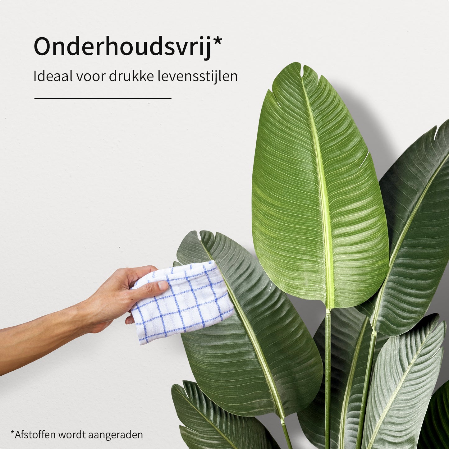 IvoQ Strelitzia Kunstplant 160 cm