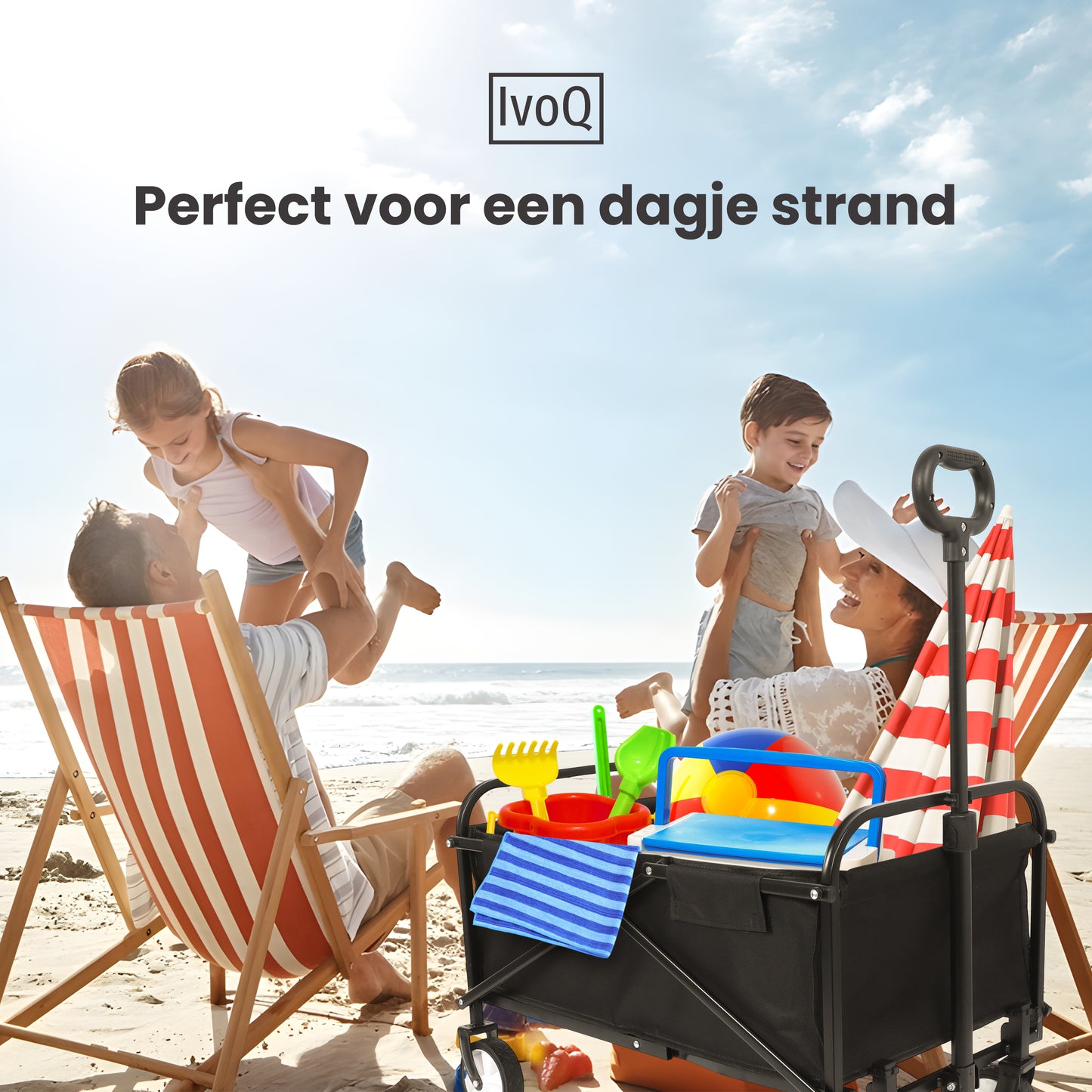 IvoQ Bolderkar Zwart