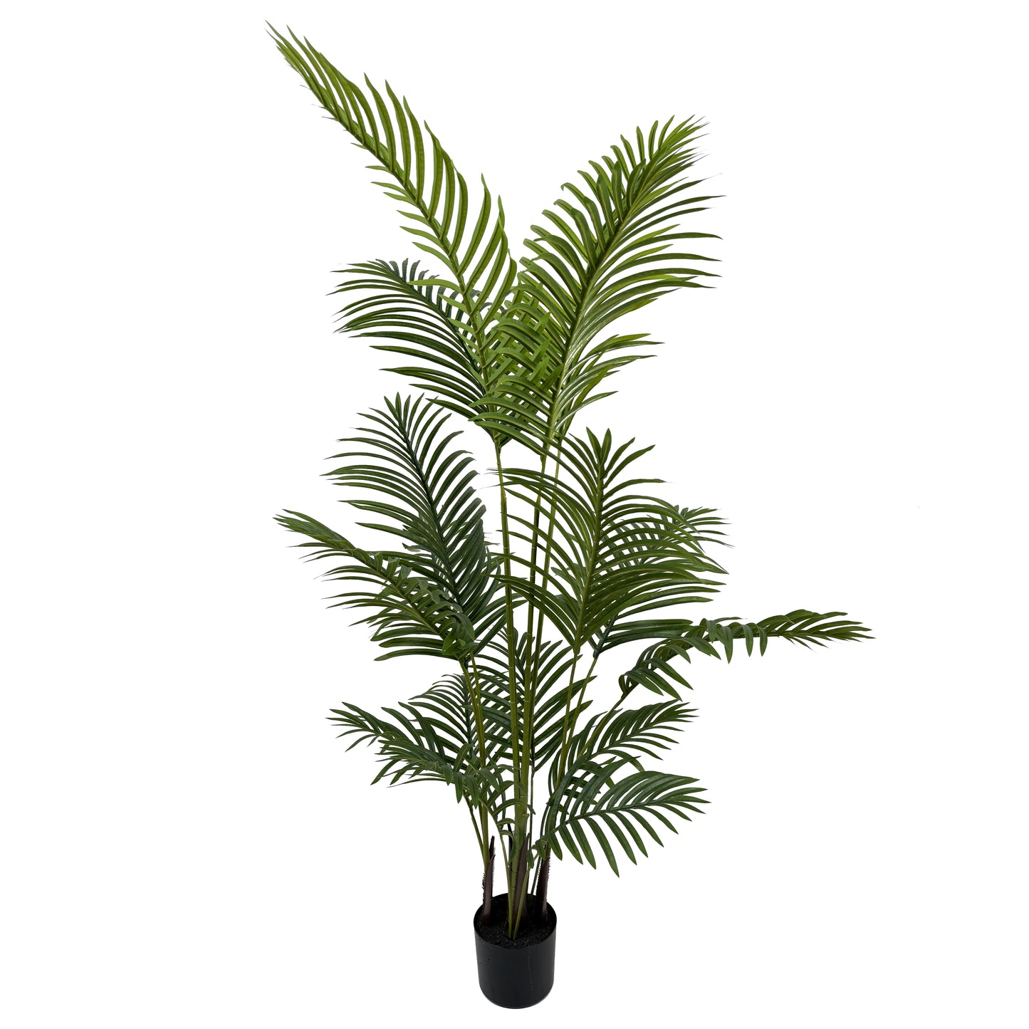 IvoQ Kunstpalm 150 cm