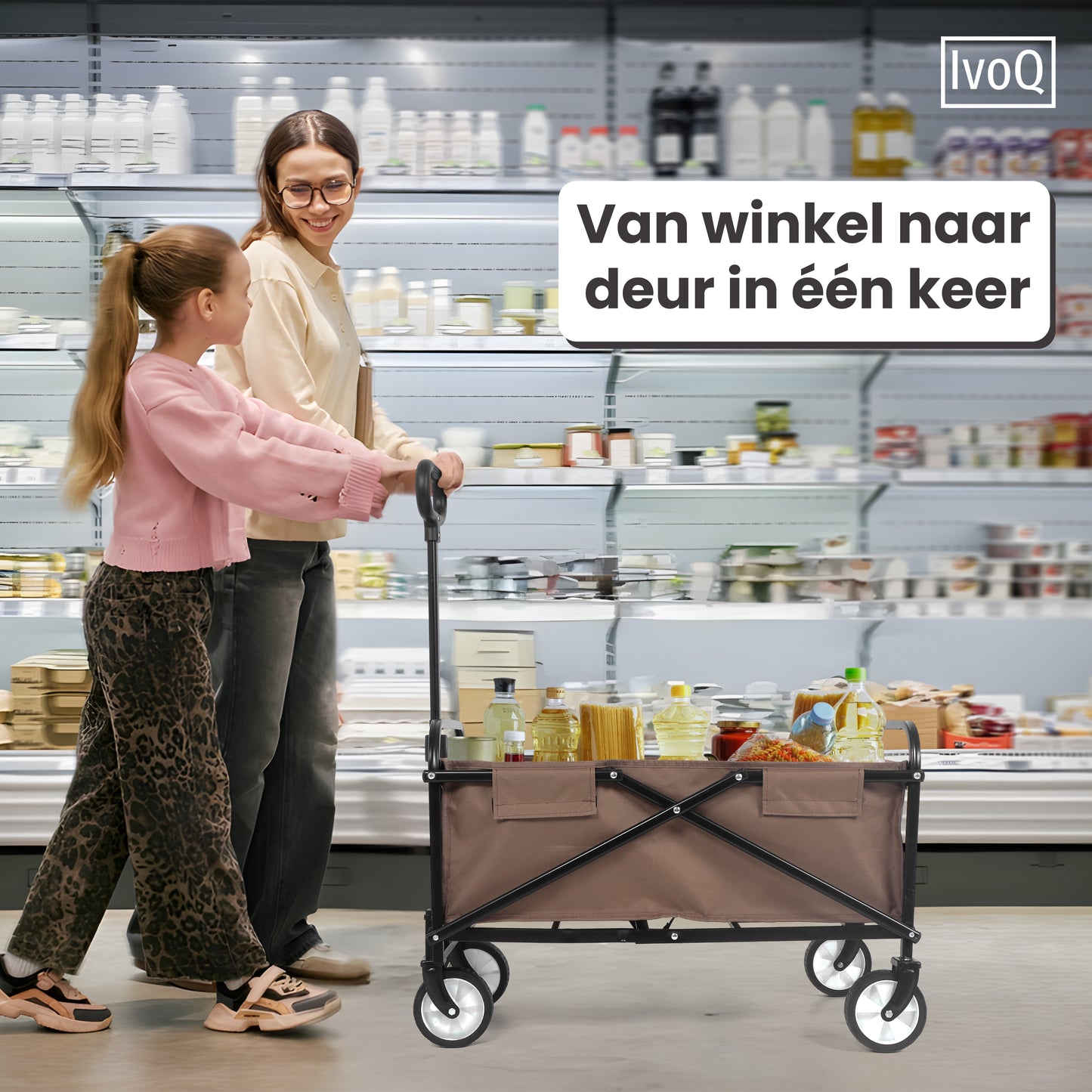 IvoQ Bolderkar Bruin