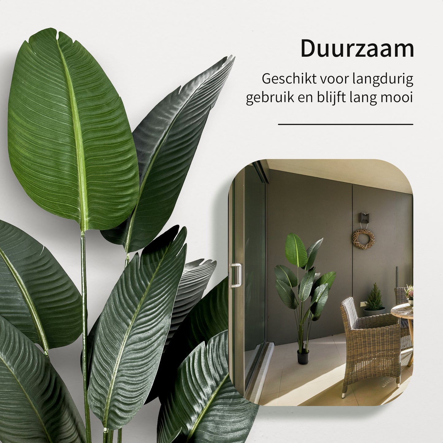 IvoQ Strelitzia Kunstplant 160 cm