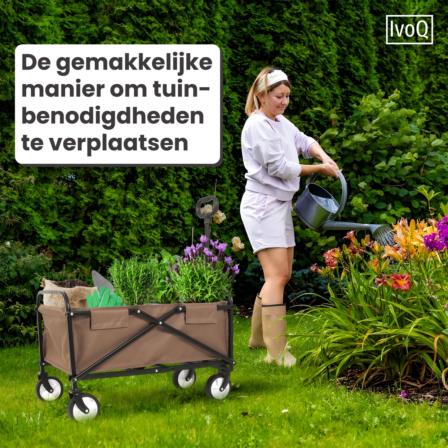 IvoQ Bolderkar Bruin