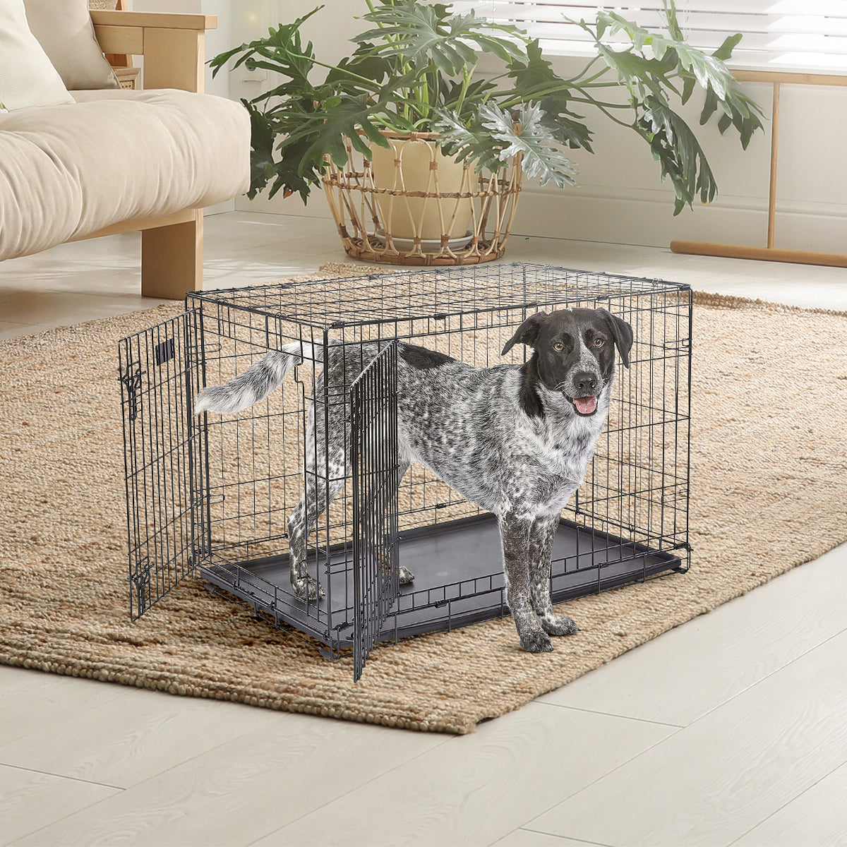 IvoQ Hondenbench M – Zwart – 75.5×47×54.5 cm