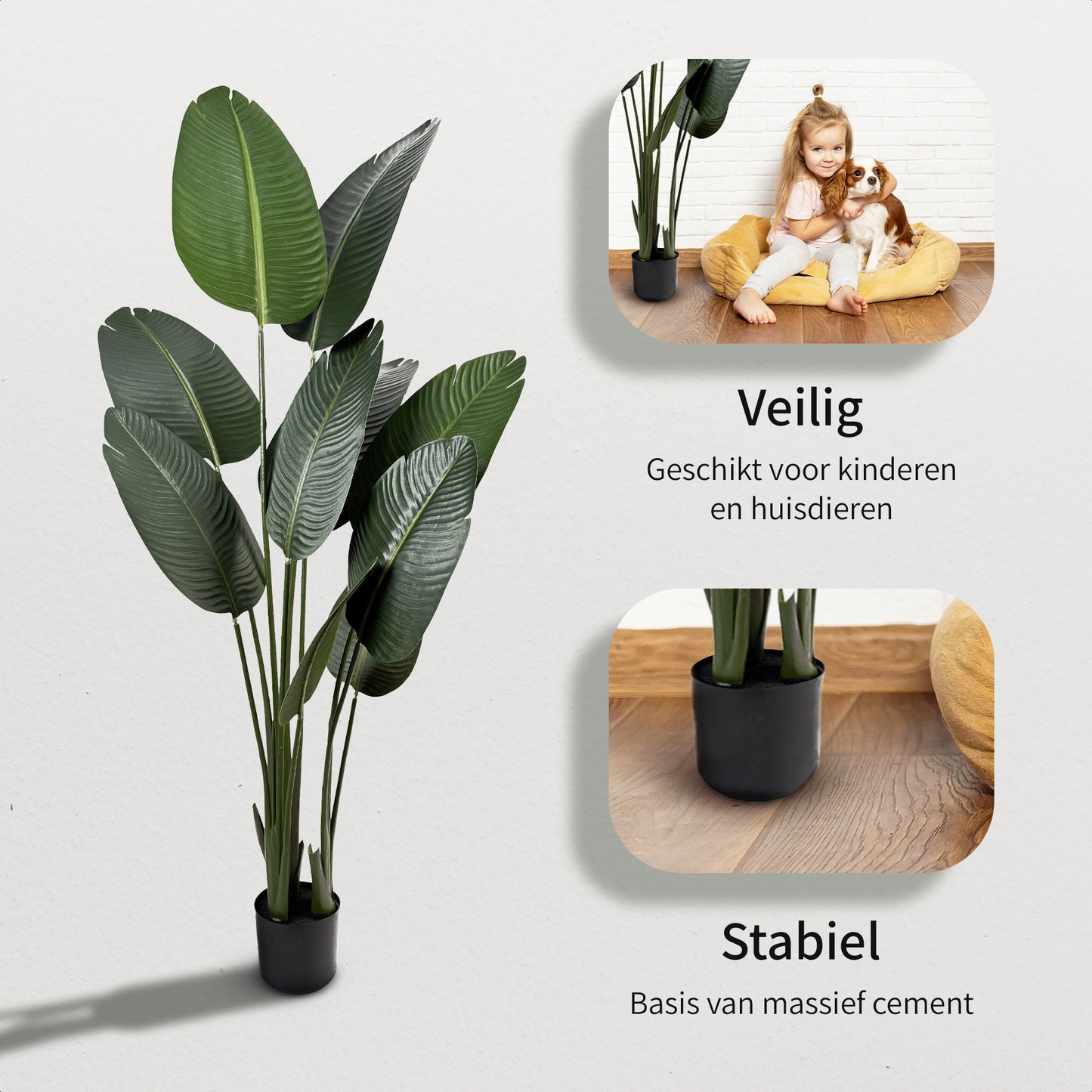 IvoQ Strelitzia Kunstplant 160 cm