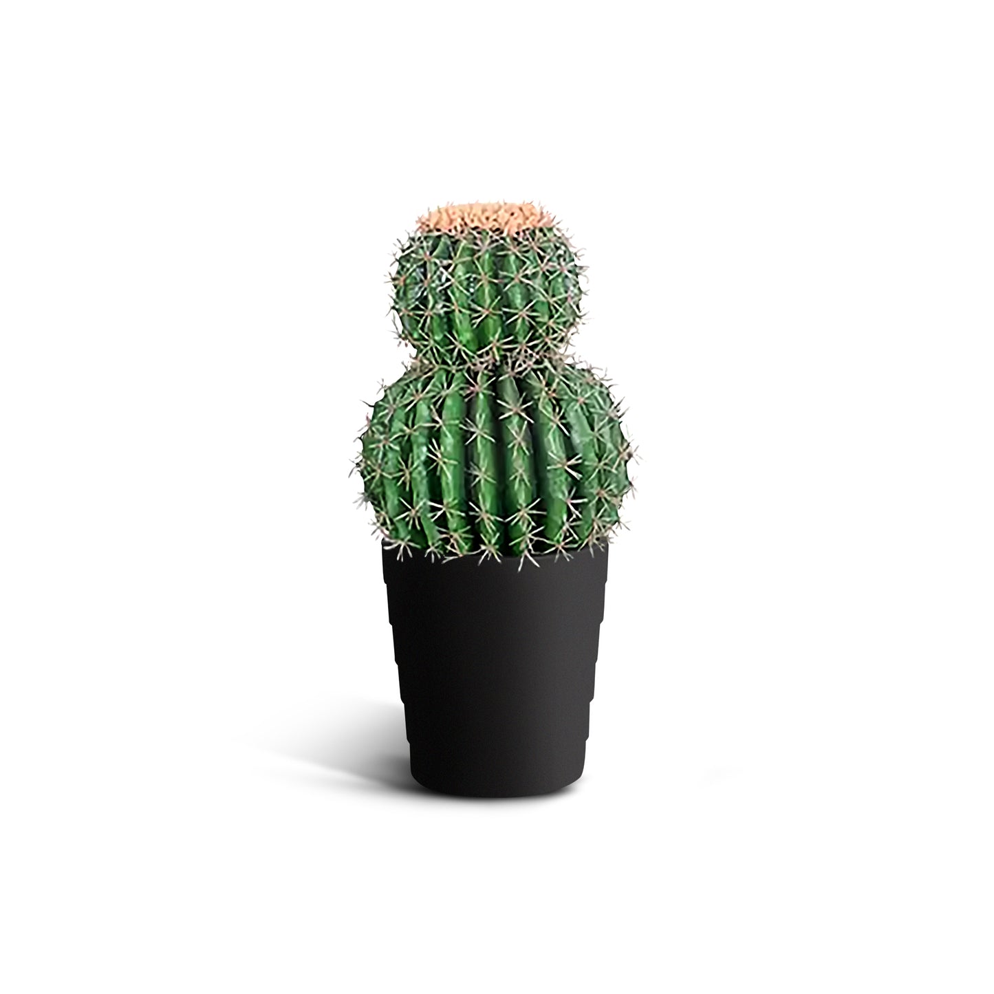 IvoQ Kunst Cactus 50 cm