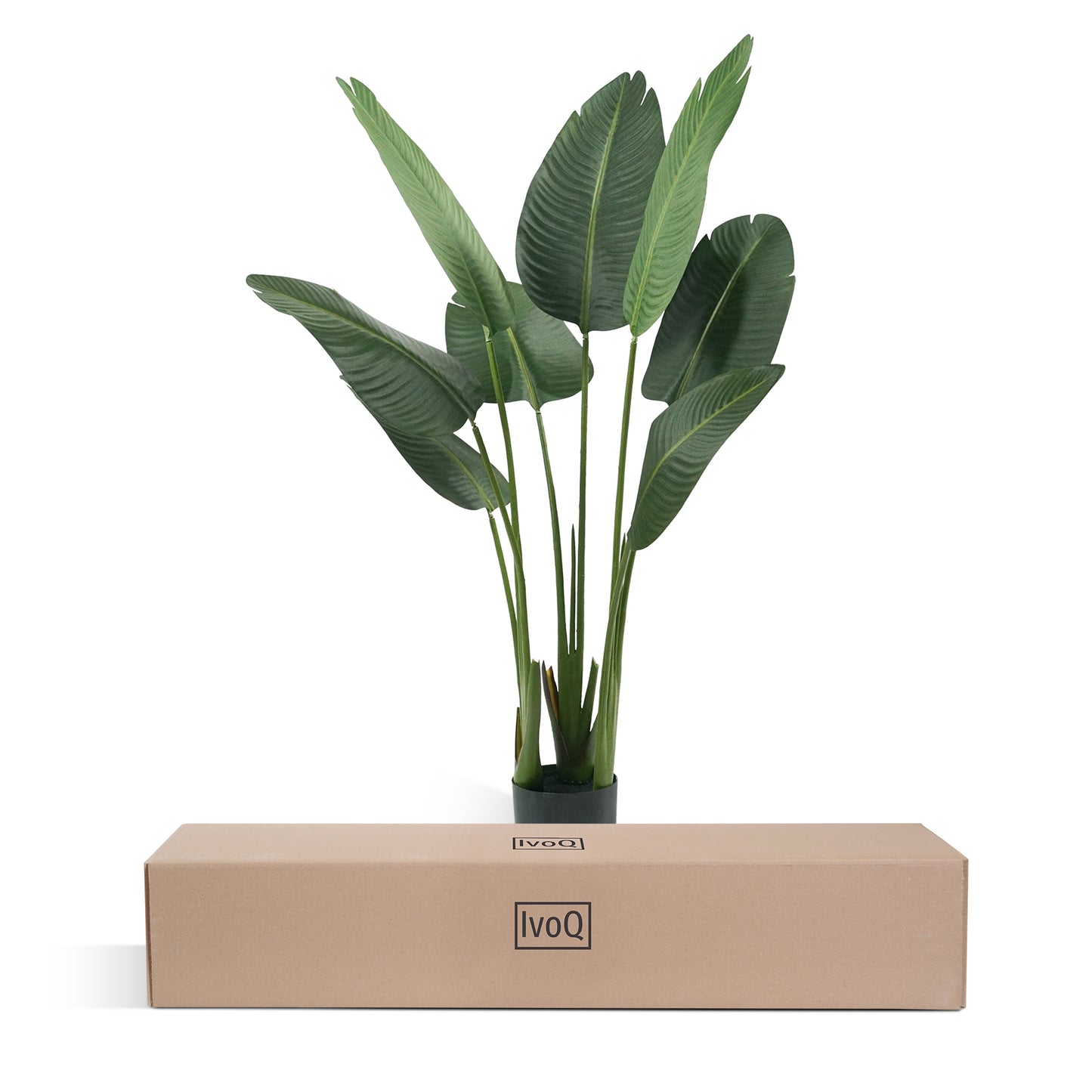 IvoQ Strelitzia Kunstplant 120 cm