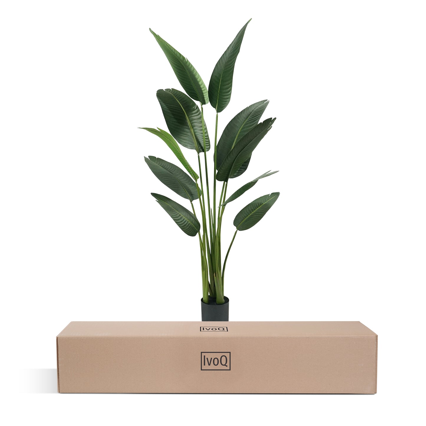 IvoQ Strelitzia Kunstplant 160 cm