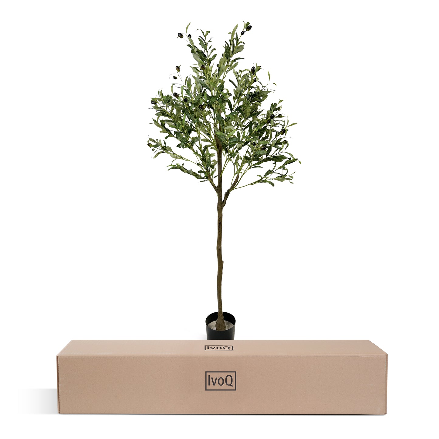IvoQ Kunst Olijfboom 150 cm-IvoQ
