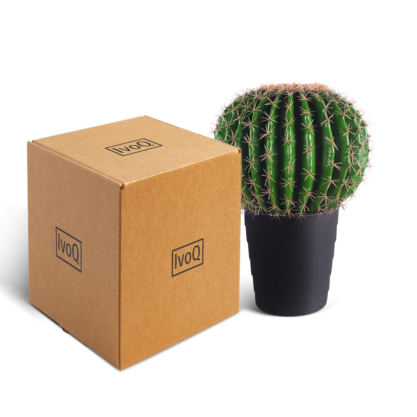 IvoQ Kunst Cactus 50 cm