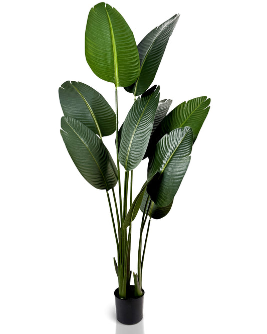 IvoQ Strelitzia Kunstplant 160 cm