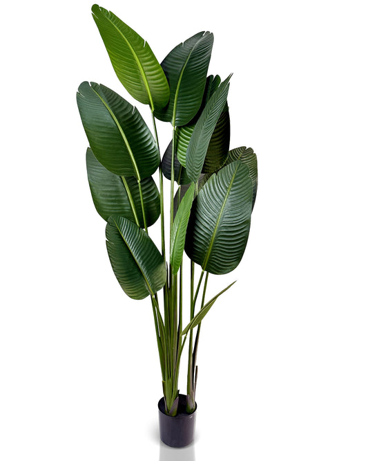 IvoQ Strelitzia Kunstplant 180 cm