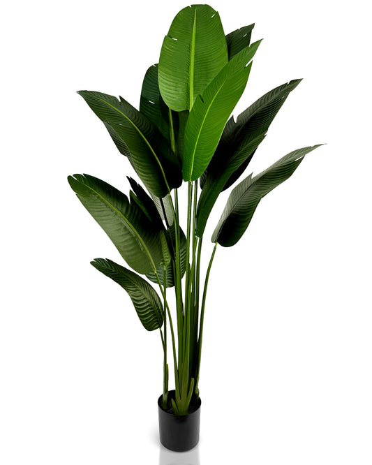 IvoQ Strelitzia Kunstplant 210 cm