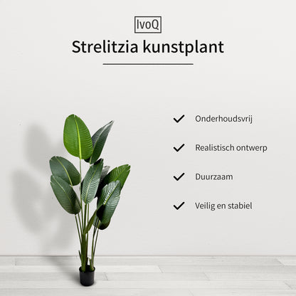 IvoQ Strelitzia Kunstplant 160 cm