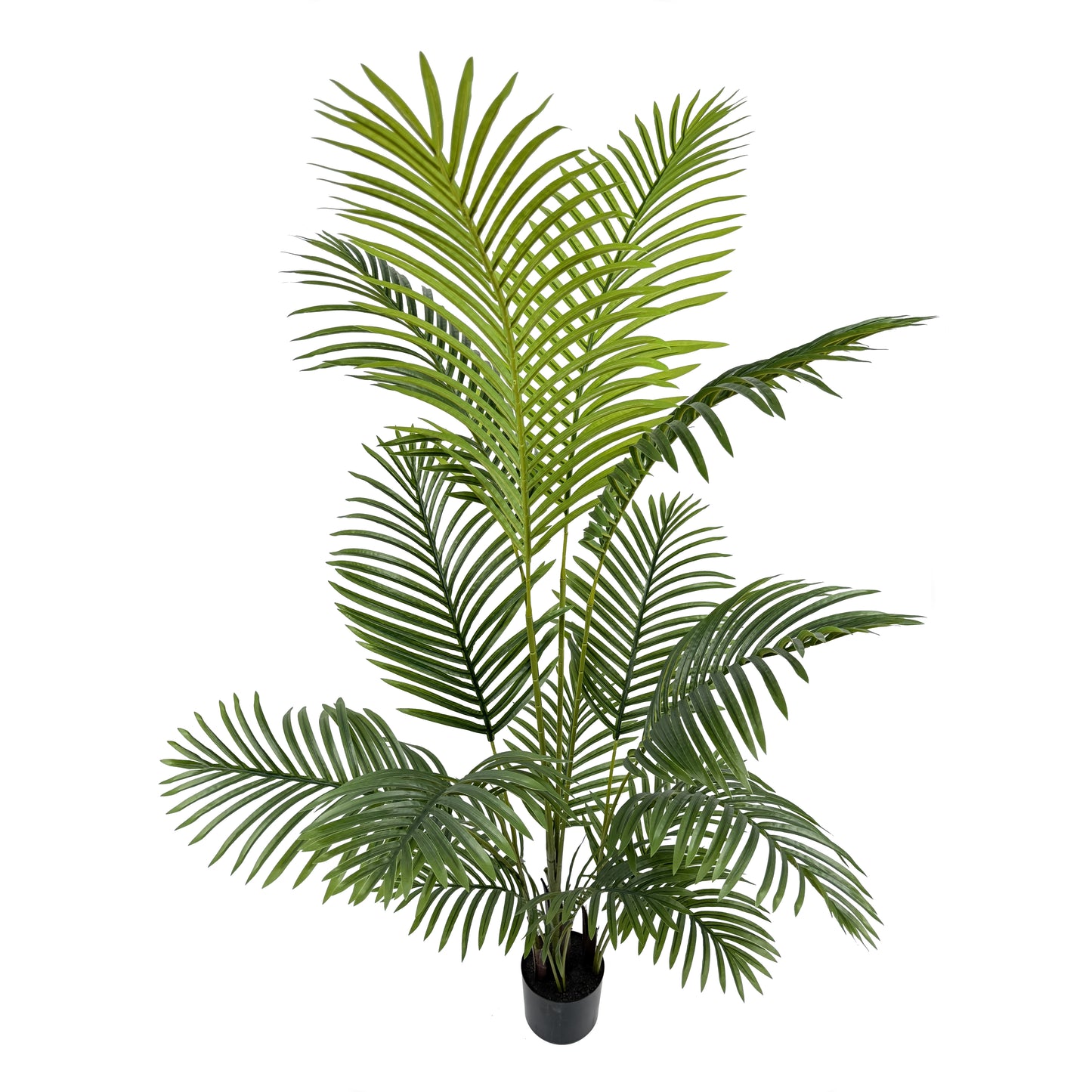 IvoQ Kunstpalm 150 cm