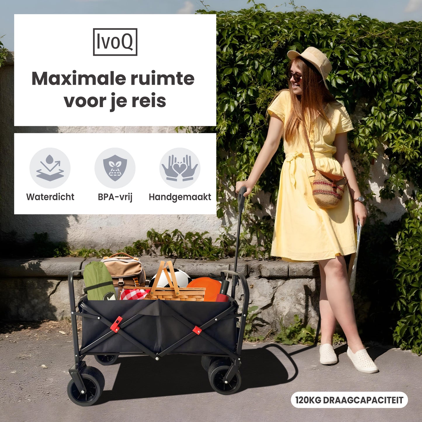 IvoQ Bolderkar Opvouwbaar 120 kg