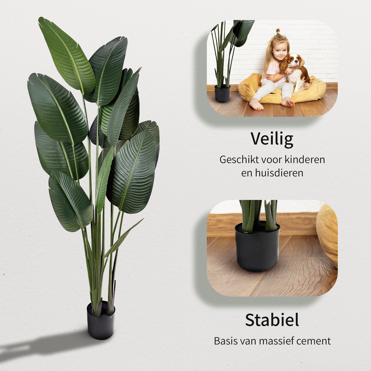 IvoQ Strelitzia Kunstplant 180 cm