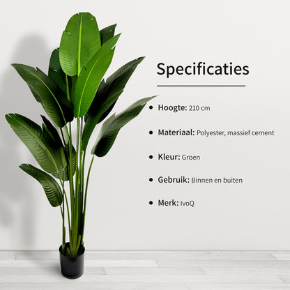 IvoQ Strelitzia Kunstplant 210 cm