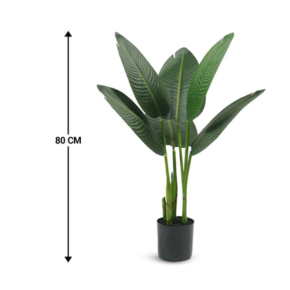 IvoQ Strelitzia Kunstplant 80 cm