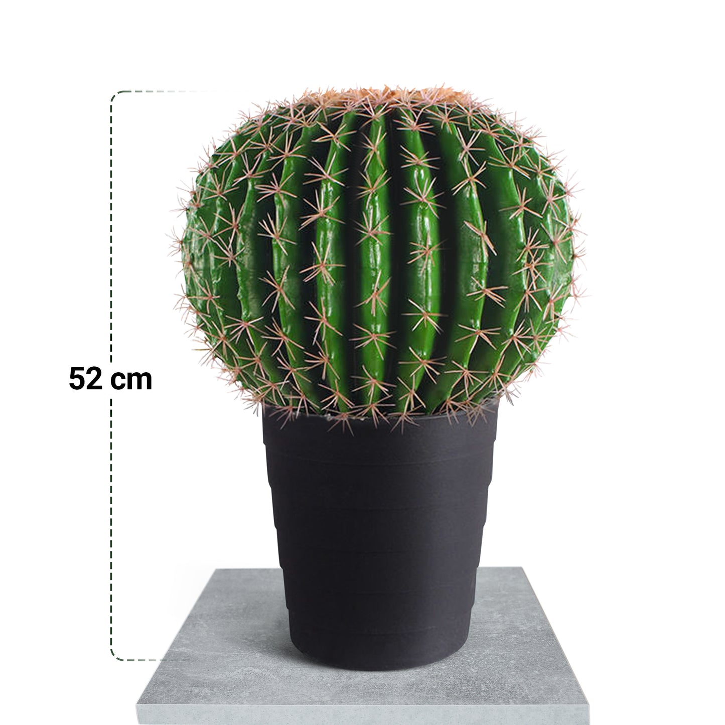 IvoQ Kunst Cactus 50 cm