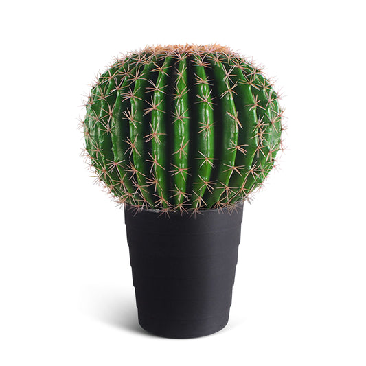 IvoQ Kunst Cactus 50 cm