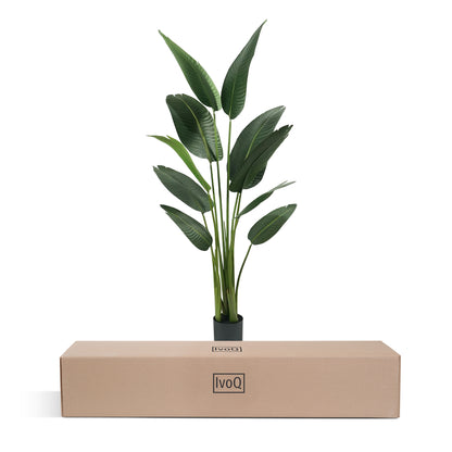 IvoQ Strelitzia Kunstplant 160 cm
