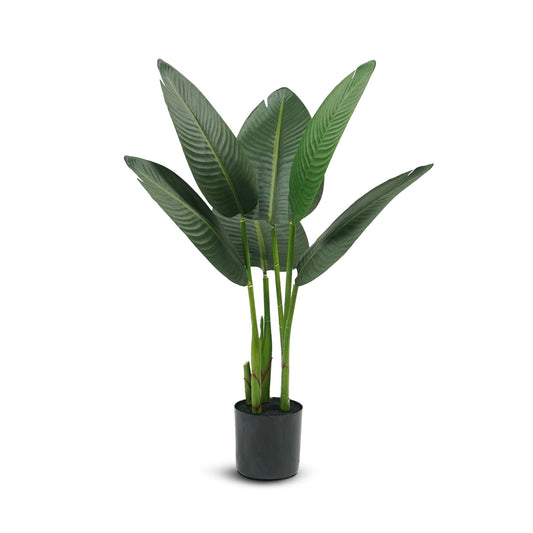 IvoQ Strelitzia Kunstplant 80 cm