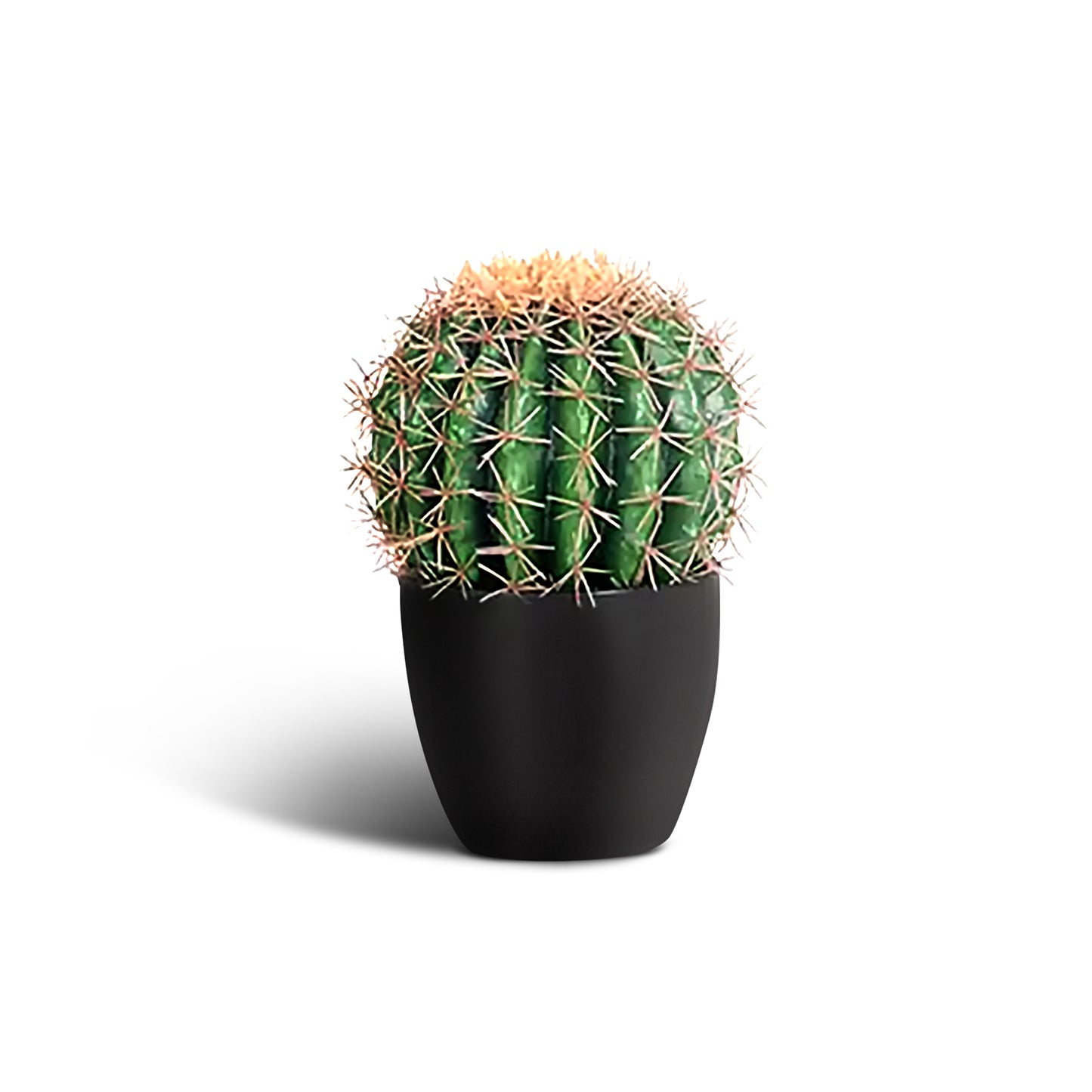 IvoQ Kunst Cactus 25 cm